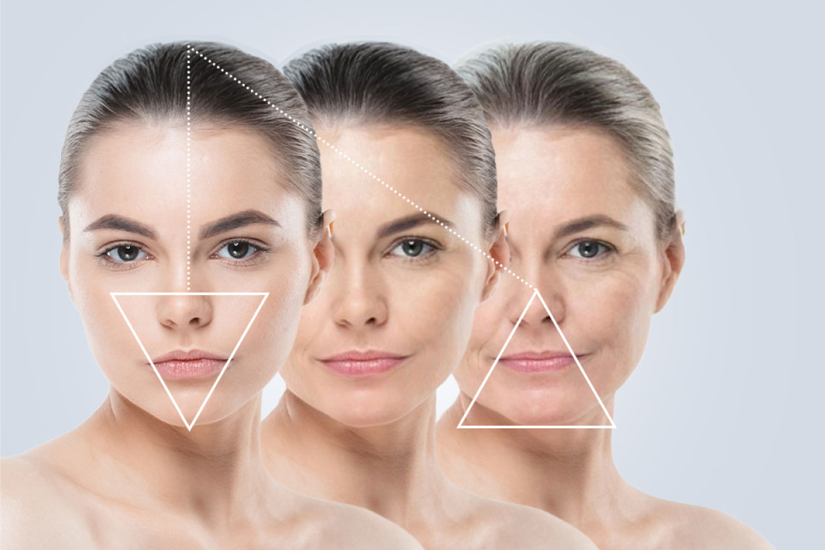 El Arte de la Armonización Facial: Más Allá de los Rellenos - Dr ...